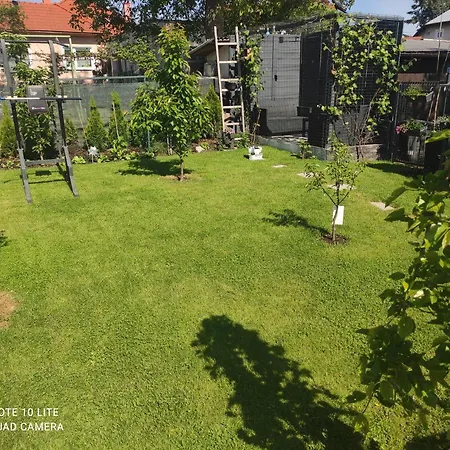 Apartman Martin *